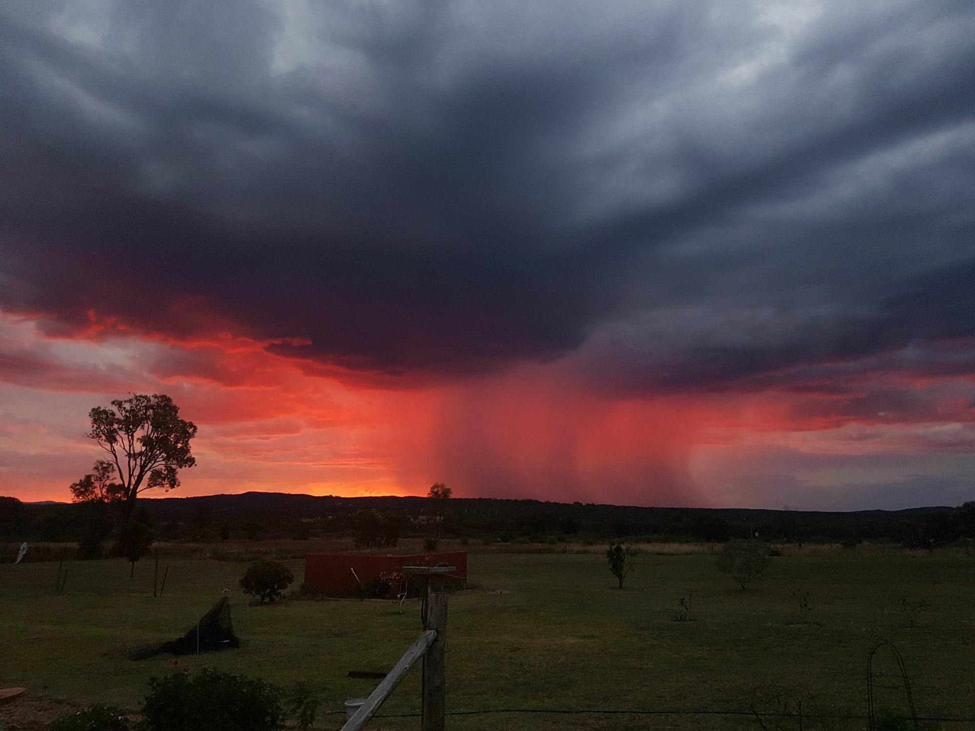 Grovely House Bed and Breakfast Stanthorpe Exteriör bild