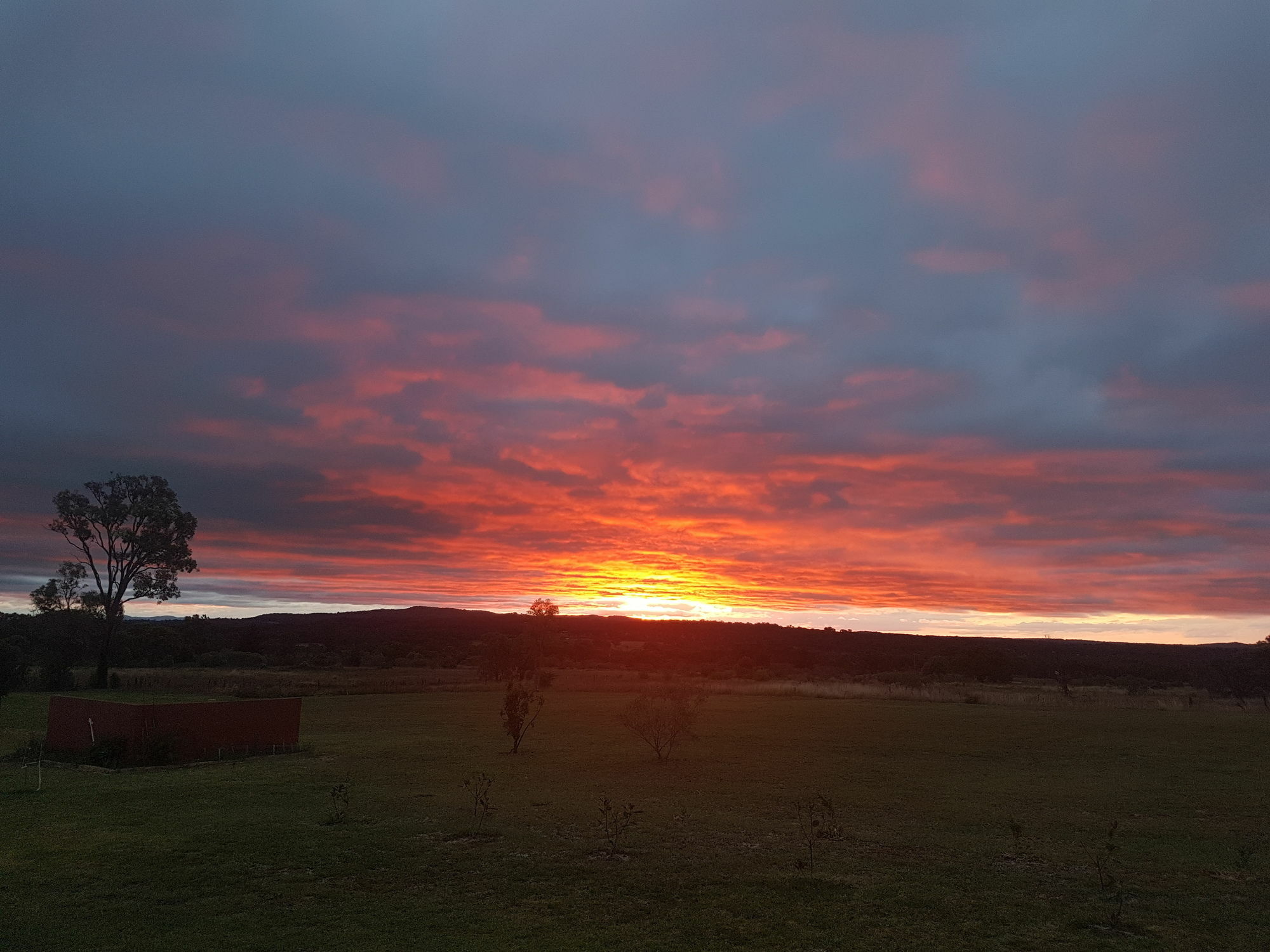 Grovely House Bed and Breakfast Stanthorpe Exteriör bild